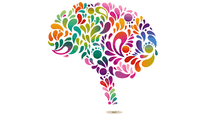 Neurocyclin - pour une meilleure mémoire – comment utiliser – avis – effets secondaires