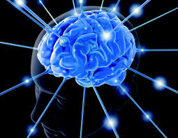 Neurocyclin - pour une meilleure mémoire – composition – prix – effets