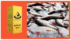 Fish XXL - activateur de poisson - Amazon - dangereux – prix