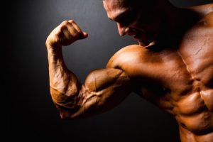 Flexuline Muscle Builder - pour le renforcement musculaire - comment utiliser - prix - France