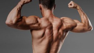 Max Boost - pour la masse musculaire  - effets - pas cher - site officiel 