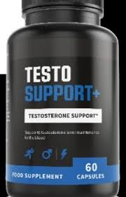 Testo Support Plus+ - composition - site officiel - forum 
